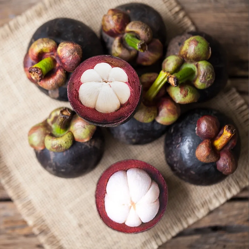 premium mangosteen high quality