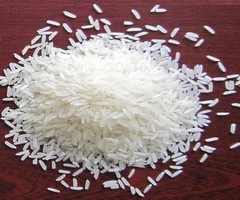 IR64 Indian Rice1.jpg