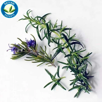 rosemary essence