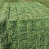 /product-detail/hay-type-and-cattle-horse-use-alfalfa-hay-62005645039.html
