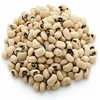Grade A Cowpea Vigna beans / Speckled cowpea/Mixed coloured Cowpea