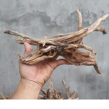 mopani wood for sale