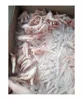 /product-detail/chicken-feet-and-paws-from-brazil-sif-plant-50035995904.html