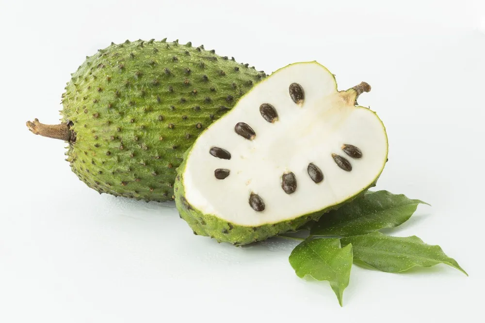 Manufacturers Beverage 330ml Canned Soursop Fruit Juice Drink Buy Soursop Juice Fruit Juice Canned Soursop Juice Product On Alibaba Com