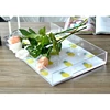 Rectangular Acrylic Breakfast Set Tray Clear Plastic Indoor Tray for Plants