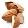 Organic roasted and salted almond nuts/kernels wholesale
