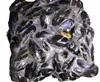 Russian half shell mussel meat frozen shellfish
