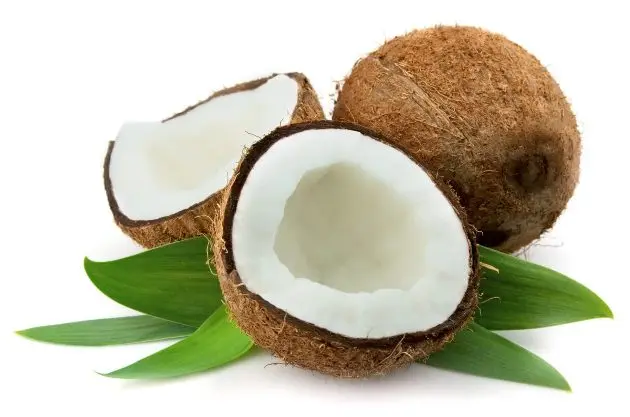 wholesale indian coconut