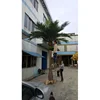 Total 4.5m height artificial coconut palm tree for indoor & outdoor decoration.