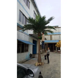 China Coconut Tree Wholesale Alibaba - 