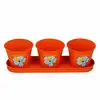 SOLID HERB POT & PLANTER SET OF 3