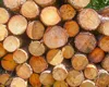 European Pine Square Logs From Turkey