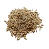 A grade quality cumin / natural cumin 100% organic / all types spices wholesale