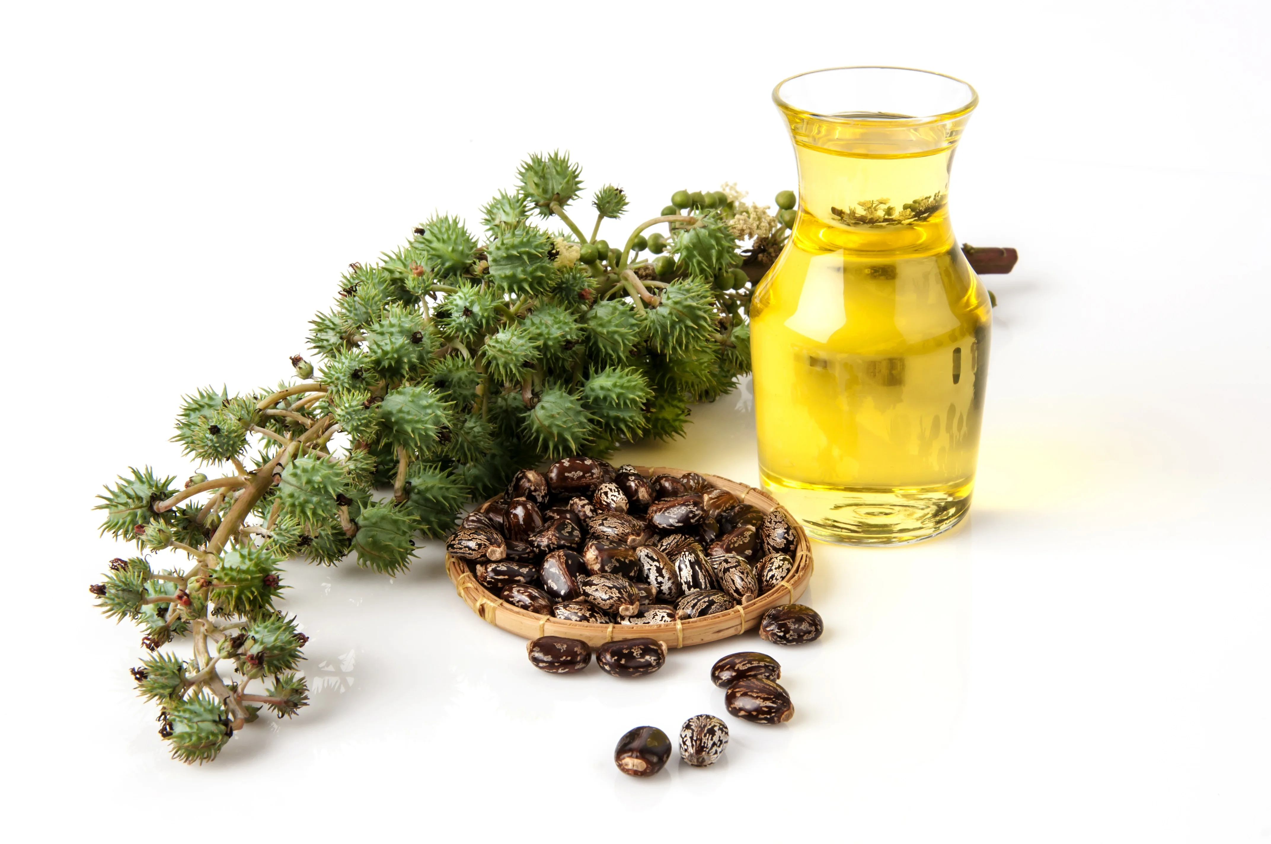 Global Castor Oil Market 2020 Research by Business Analysis ...