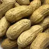 High quality Crushed Peanuts, Roasted Diced Peanut Available