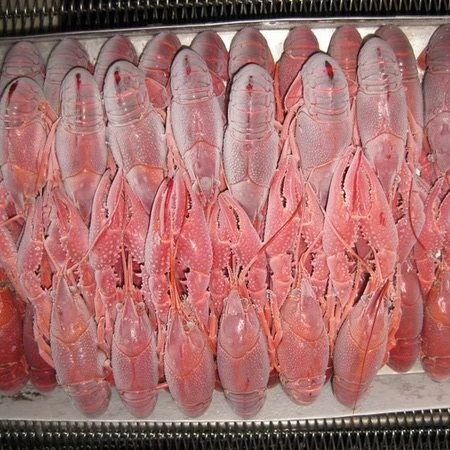 process frozen whole round crayfish/crawfish in lobster for sale