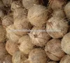 Semi Husked Coconut Dried Coconut Vietnam 2018 for sale (Jenny)