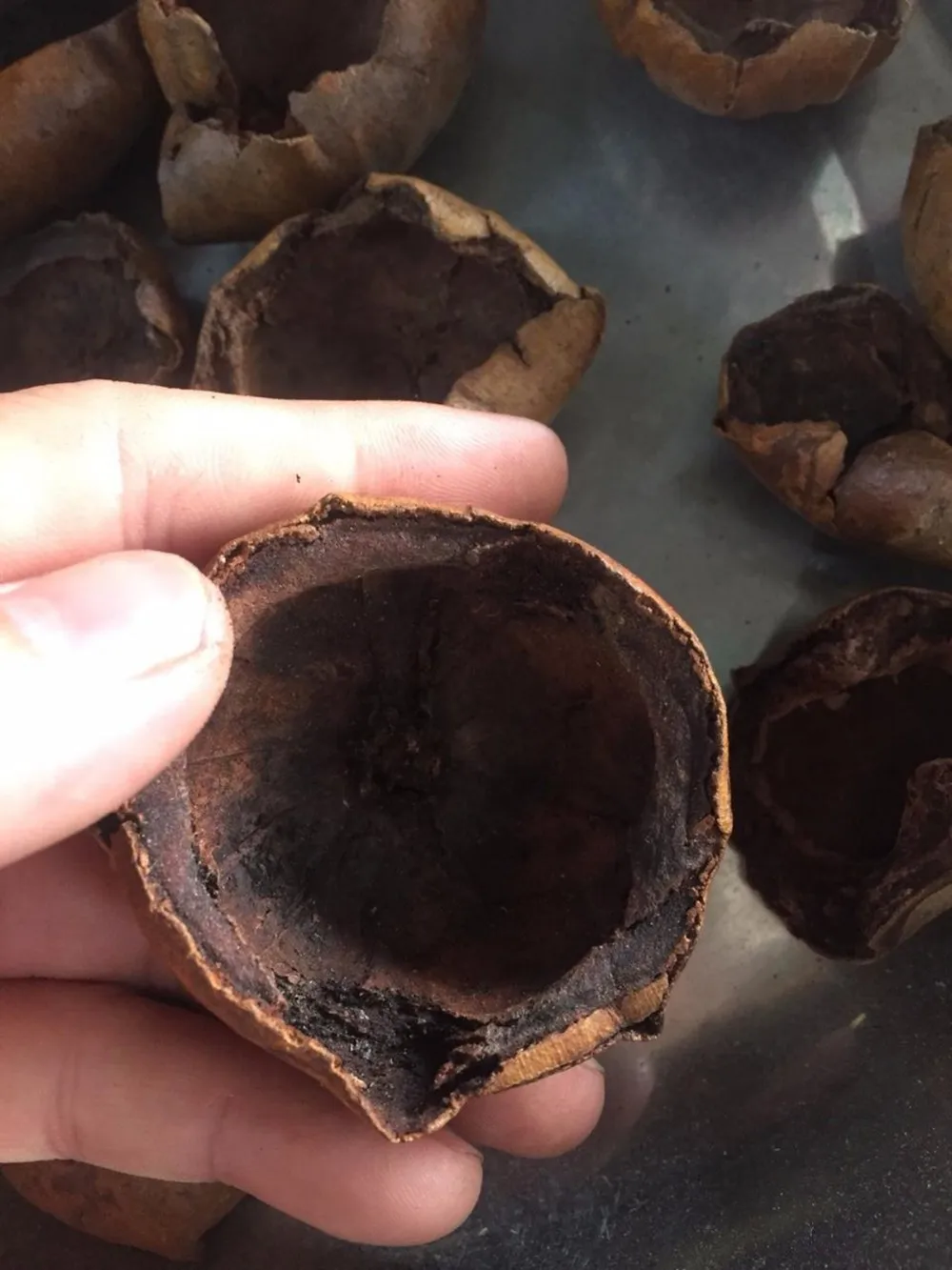 Wholesale Dried Mangosteen Peel / Powder For Health Buy Wholesale