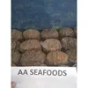 Pakistan Best Top Grade AA Fresh And Dry Salted Beef Omasum We are processor, packer and exporter of frozen Seafood