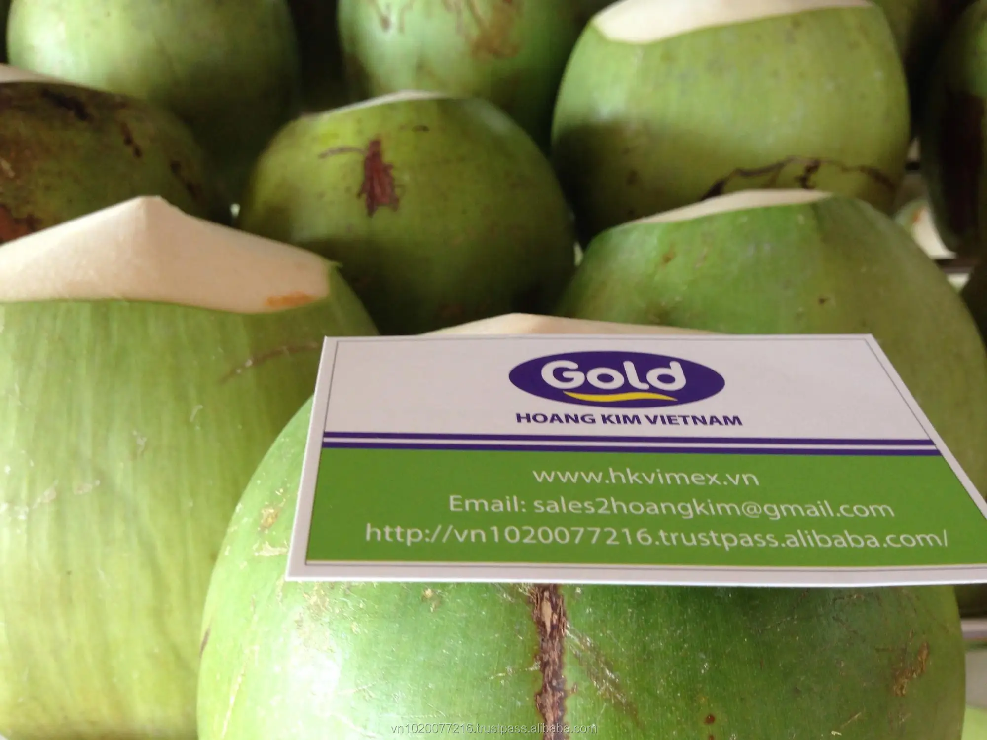 Fresh Coconut Buy Fresh Coconuts For Sale,Fresh Coconuts In Container