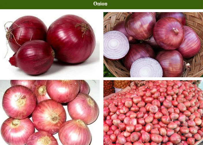 Jwzzevnbrletxx7e4nqmfv73mre7rjik6nktidduppjcei6xr75aybyd onion fo. Семейный лук белого цвета сладкий.