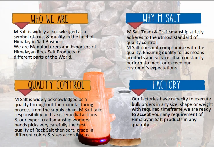 Company Information.png