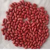 HPS Groundnut Kernels Peanuts