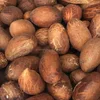High Quality Bitter Kola / Garcinia Nut /Natural Fresh Kola Nuts