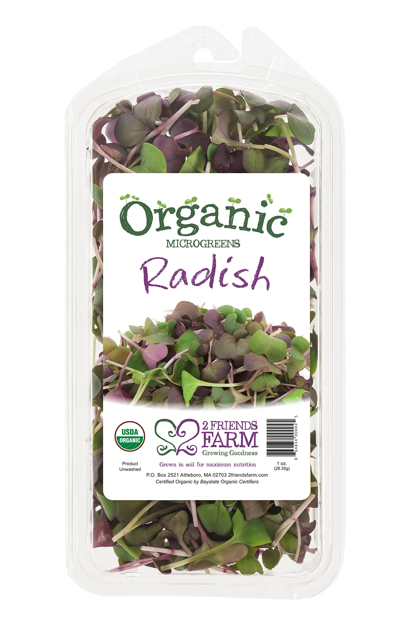 2 Friends Farm Local Northeast Organic Purple Radish Microgreens 1oz