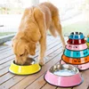 Ski Group Of Stainless Steel Dog Bowl Skid Stop Basic Dog Bowl