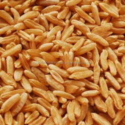agriculture grain millet