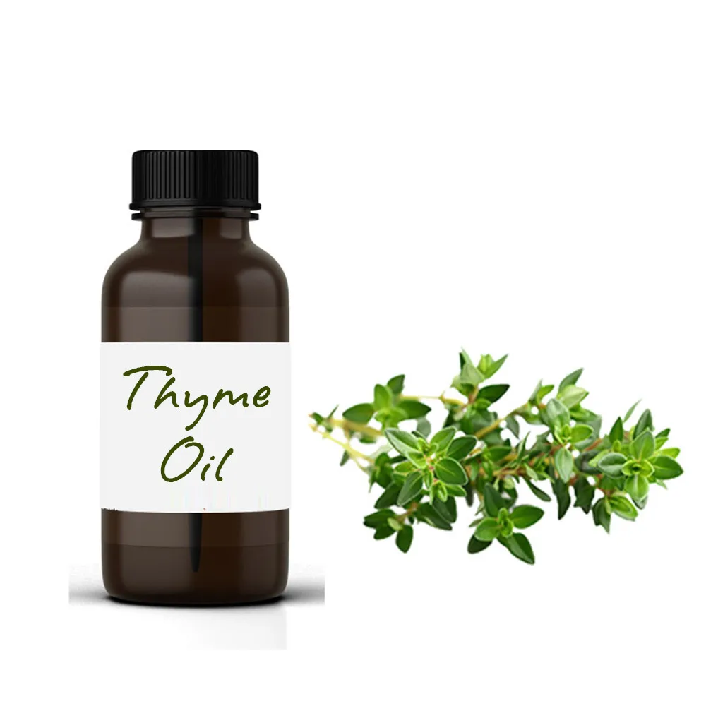 Trusted Manufacturer Of Pure And Natural Thyme Oil Buy Thyme Oil,Essential Oil Bottle,Thyme