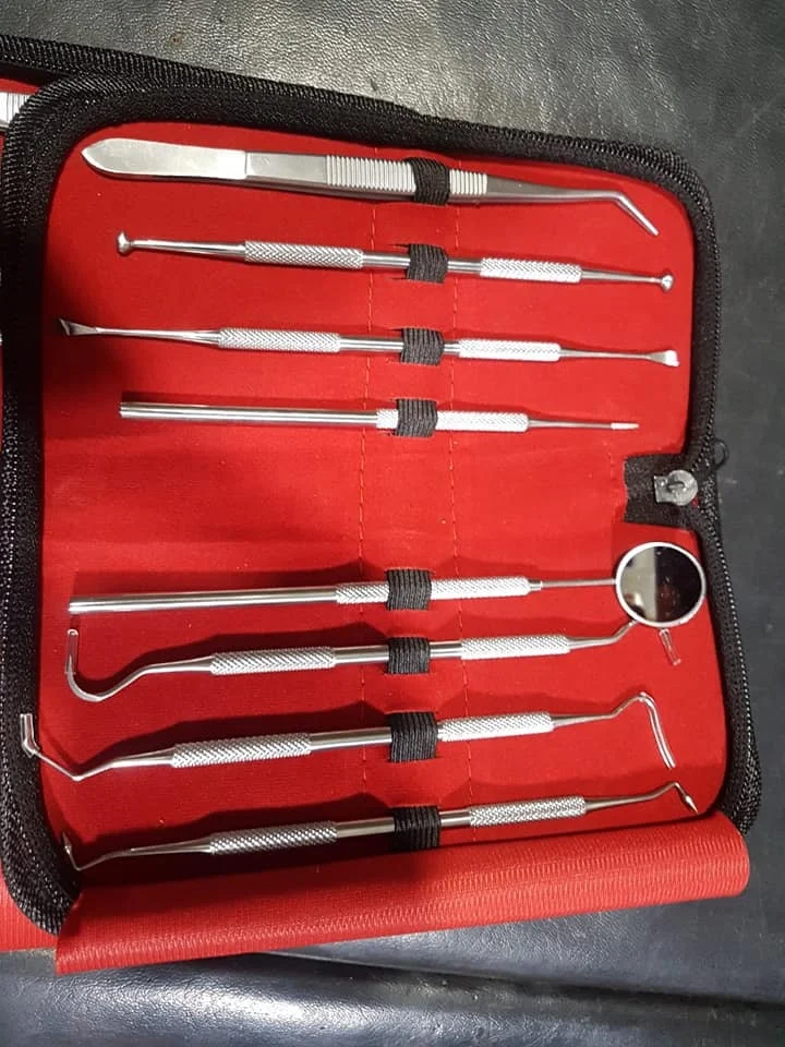 Complete Dental Hygiene Kit Professional Dental Oral Hygiene Kit 8 Tools Deep Cleaning Scaler