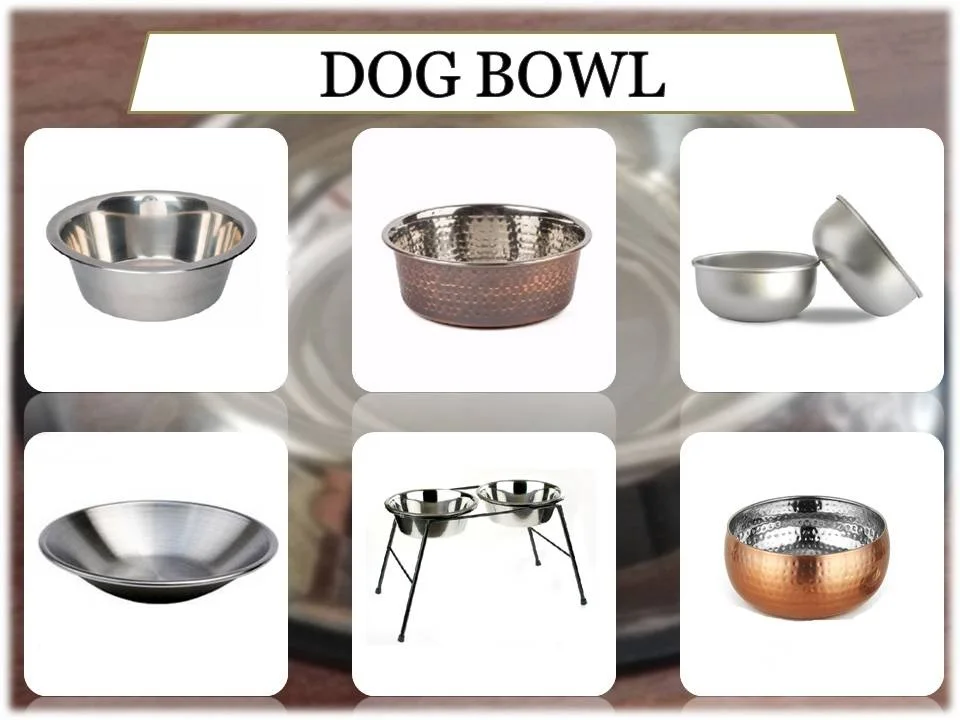 Metal Gold Plated Round Dog Bowl Fancy Exclusive Range Of Dog Bowl For