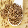 Grade A Moth Beans