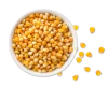 Yellow corn/ Maize affordable price