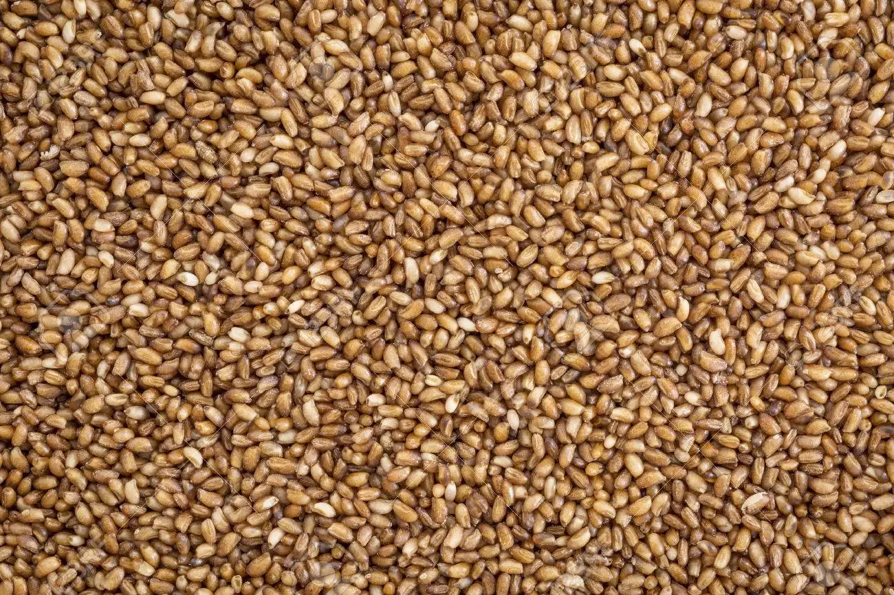 Whole Grain Teff Organic Teff Brown And White,Teff Flour For Sale Buy