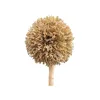 Low Cost Best Quality Star Grass Tree For Decoration