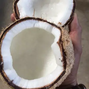 baby semi husk coconut