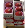 Japanese among the most popular hot cheap mangoes in bulk