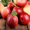 FUJI APPLES FOR SALE, GALA APPLES, RED DELICIOUS APPLES