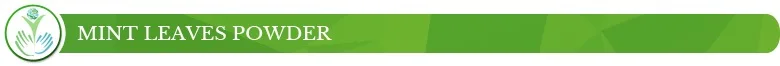 Mint Leaves T.jpg