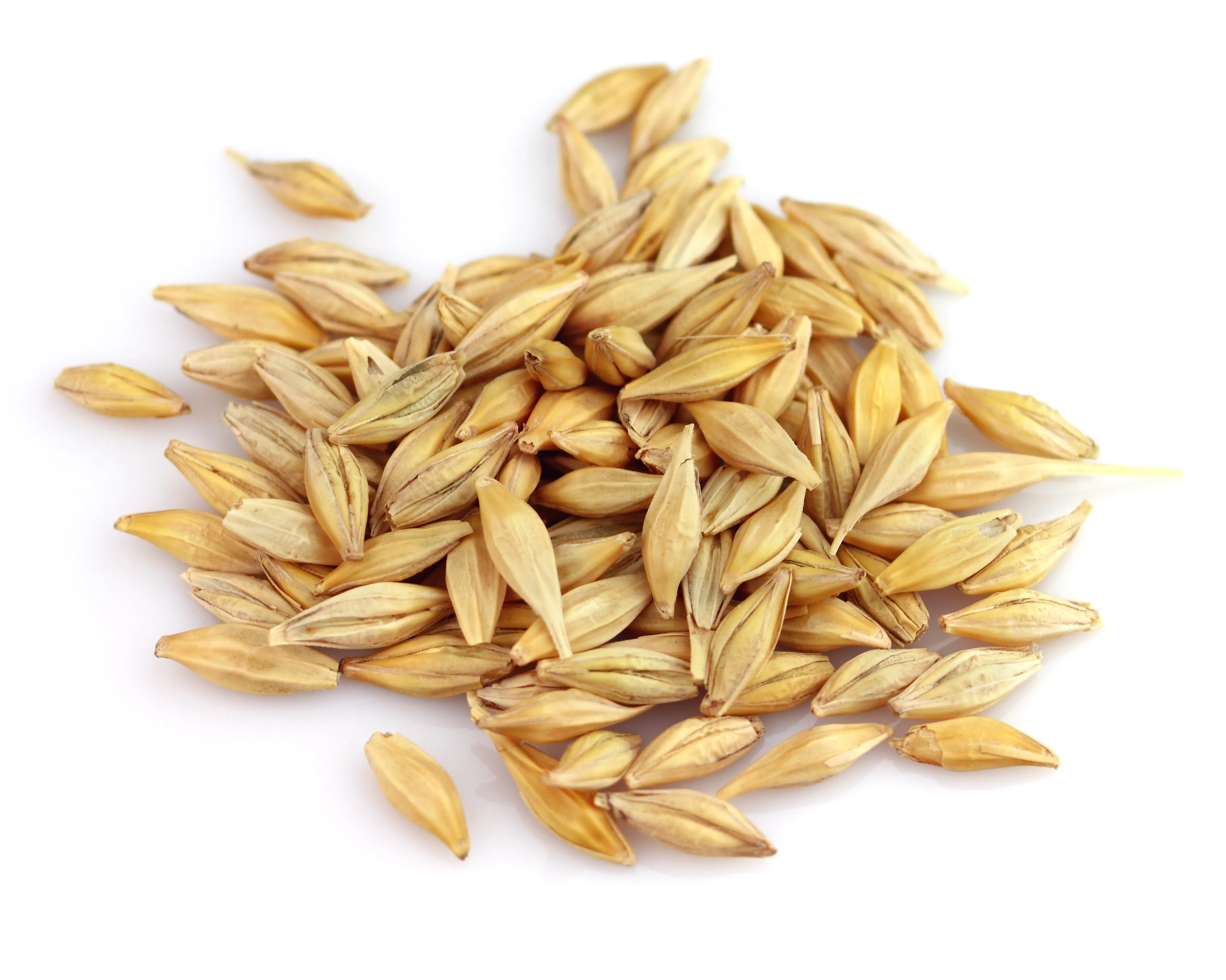 Пшеница зерно