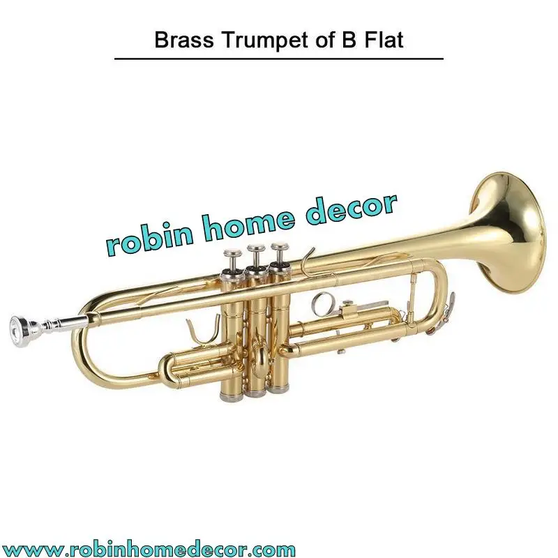 Trumpet Silver Plated Pure Silver A Brand New Great In Style First Time