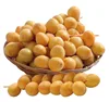 Organic Barhi Dates | Barhi Dates in EGYPT - Oasis Date Gardens