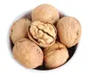 Whole Walnuts Organic Walnuts in Shell Price