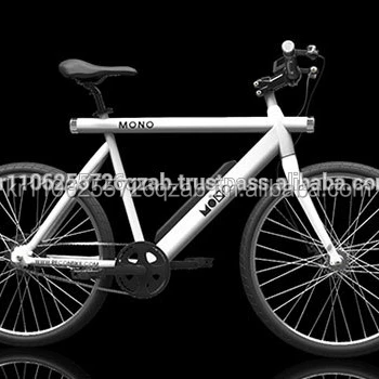 mono electric bike