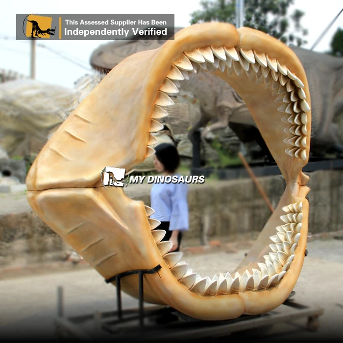 My Dino Ds131 World's Largest Shark Jaw Museum Megalodon Jaw Fossil For
