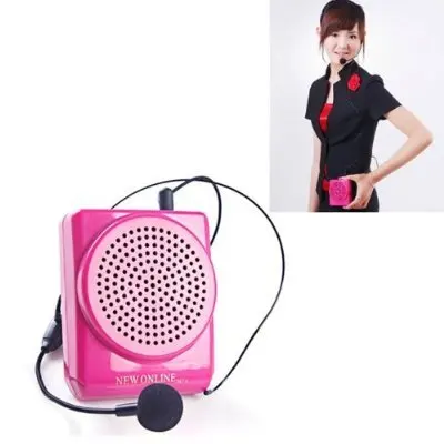 teacher speaker microphone