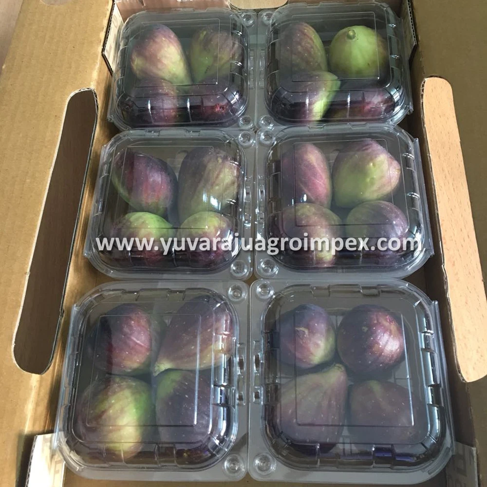 Fresh Figs For Sales Buy Fresh Fig Supplier,Dry Figs Product on
